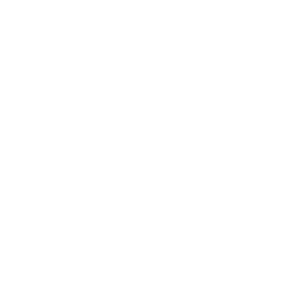 Prime Physical Therapy Logo White, Prime Physical Therapy, Dr. Kayla Roth, PT, DPT, Cert DN, CKTP